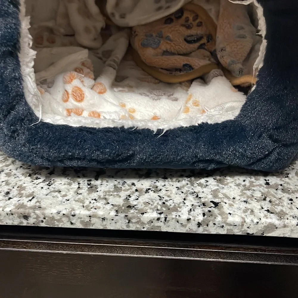 cats don’t use it anymore
